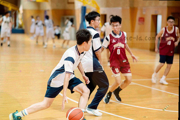 收藏乐动体育常用页面后呈现的资讯列表示意